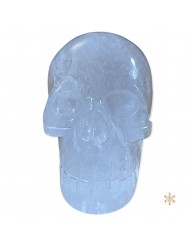 Crâne cristal de roche 746g