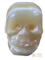 Crâne albâtre jaune et blanc 178G