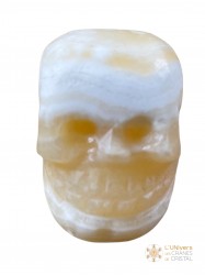 Crâne albâtre jaune et blanc 222g