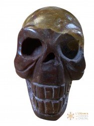 Crâne jaspe brun 176g
