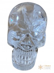 Crâne cristal de roche 206g