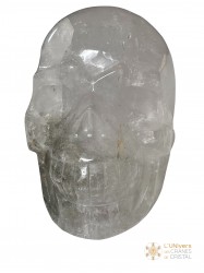 Crâne cristal de roche garden 814g