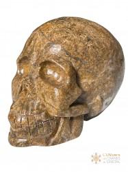 Crâne jaspe marron 1.355kg